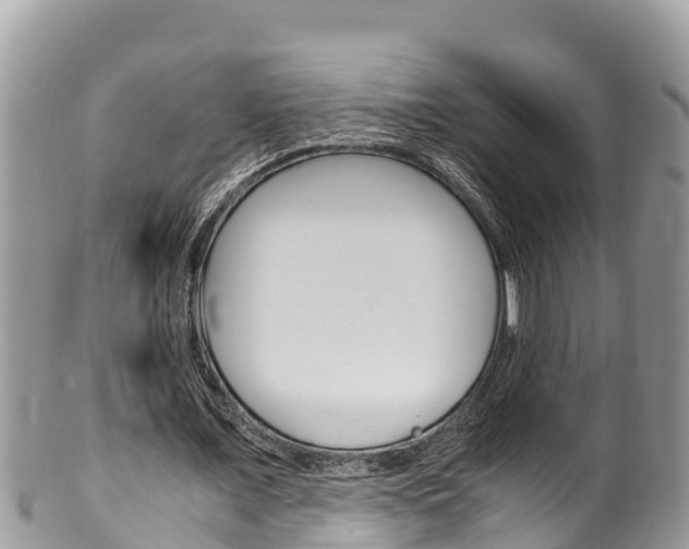 X0000100490675200806130756