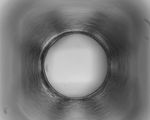 X0000100490676200806130756
