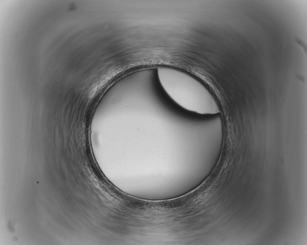 X0000100490677200806130756