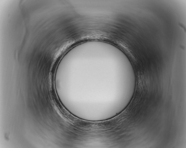 X0000100490678200806130756