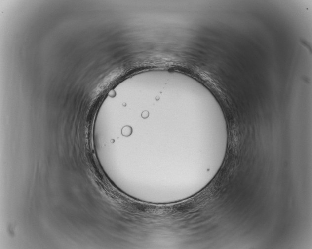 X0000100490679200806130756
