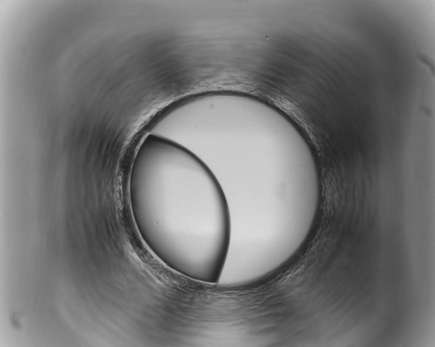 X0000100490680200806130756