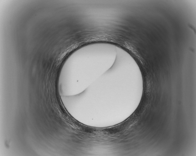 X0000100490681200806130756