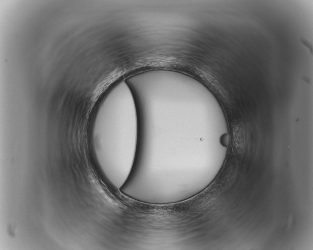 X0000100490682200806130756