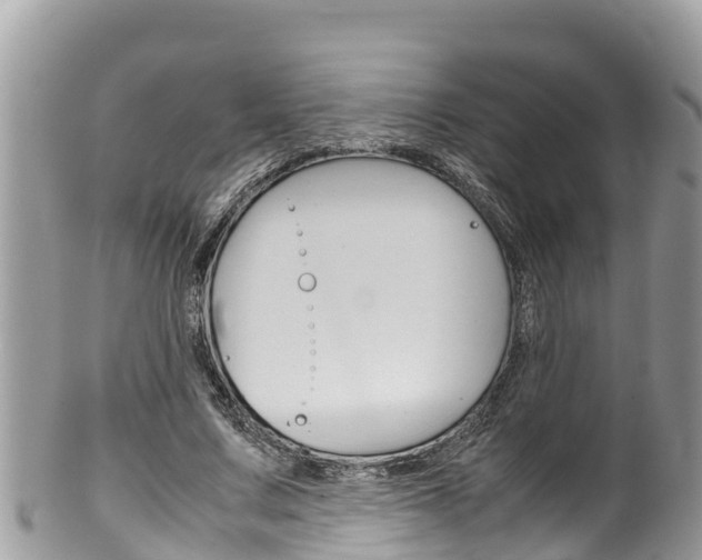 X0000100490683200806130756