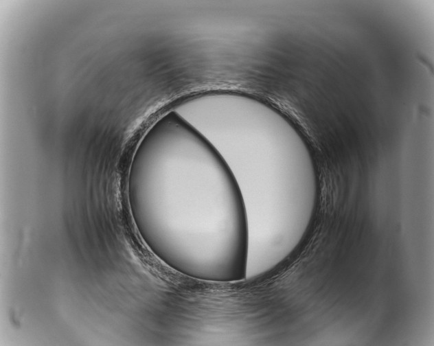 X0000100490684200806130756