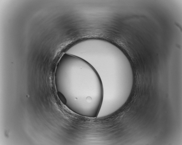 X0000100490688200806130756