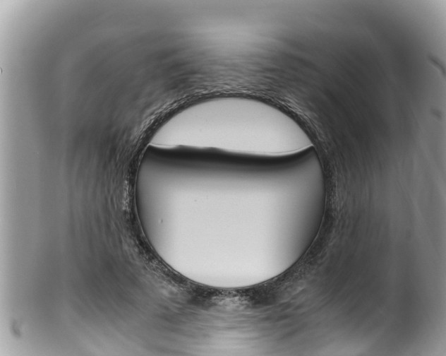 X0000100490689200806130756
