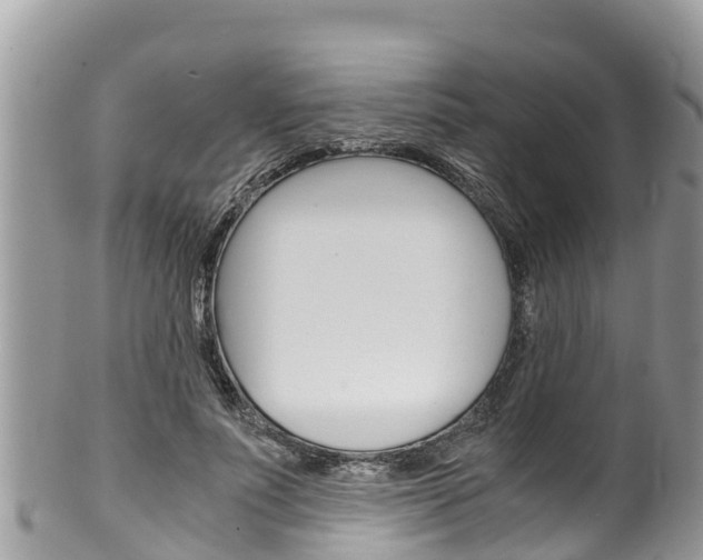 X0000100490691200806130756