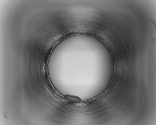 X0000100490692200806130756