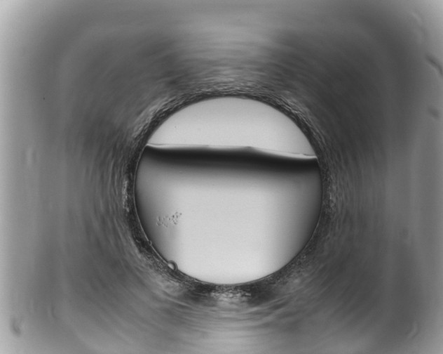 X0000100490693200806130756