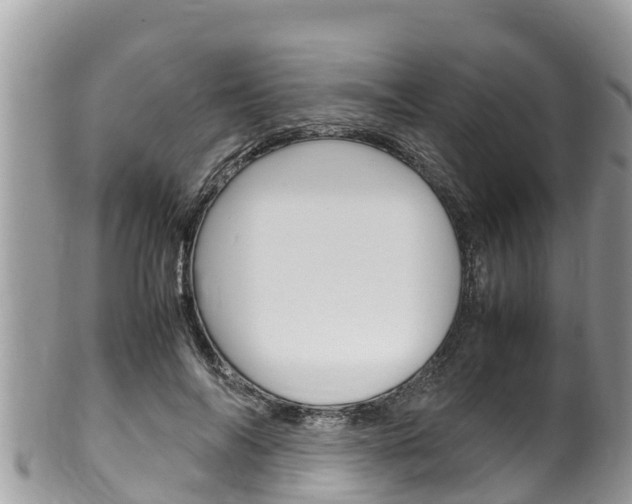 X0000100490694200806130756