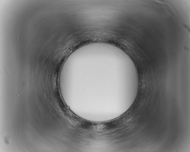 X0000100490695200806130755