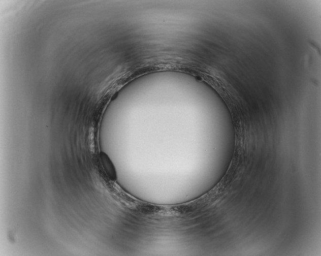 X0000100490696200806130755