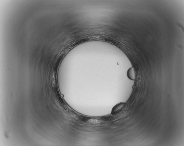 X0000100490699200806130755