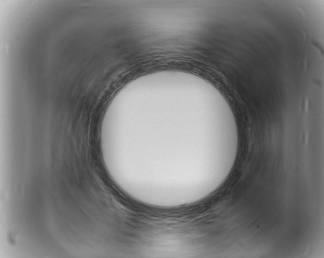 X0000100490701200806130755