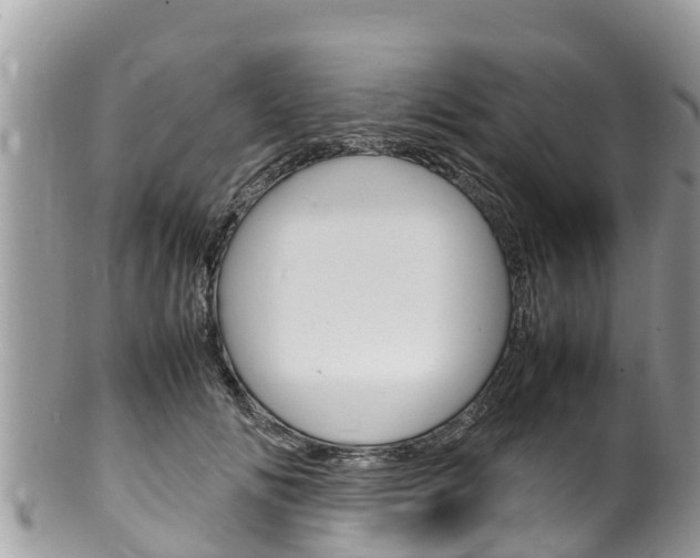 X0000100490702200806130755