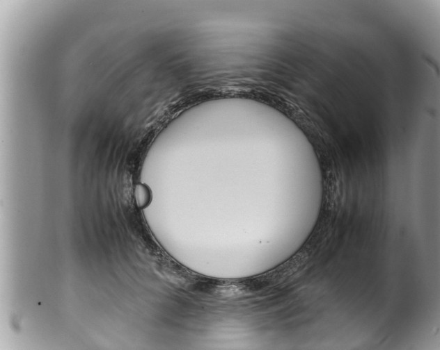 X0000100490704200806130755