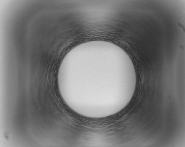 X0000100490705200806130755