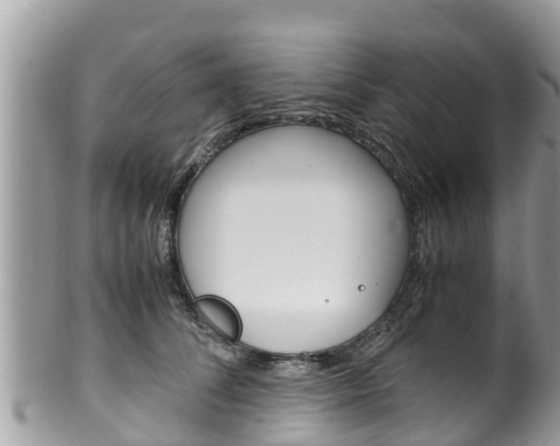 X0000100490708200806130755