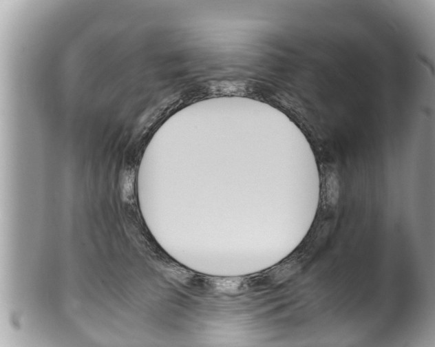 X0000100490709200806130755