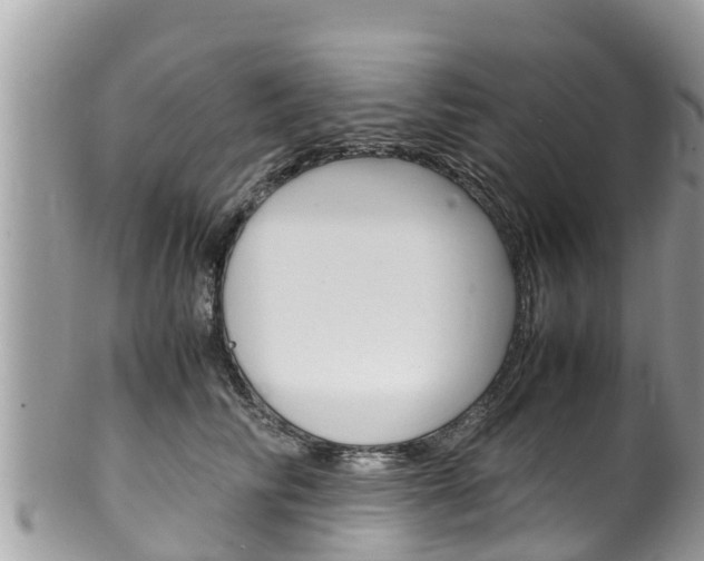 X0000100490710200806130755