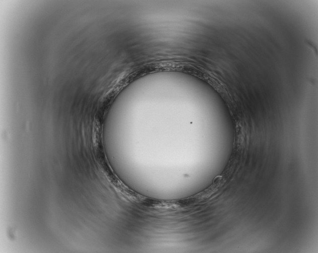 X0000100490712200806130755