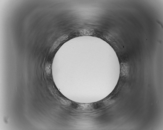 X0000100490713200806130755