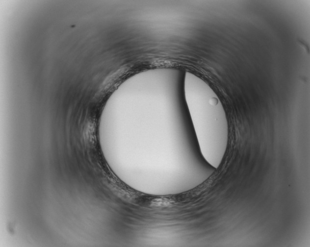 X0000100490714200806130755
