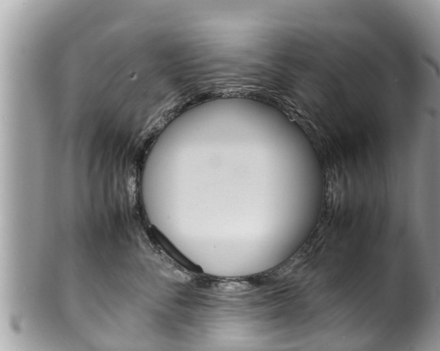 X0000100490716200806130755