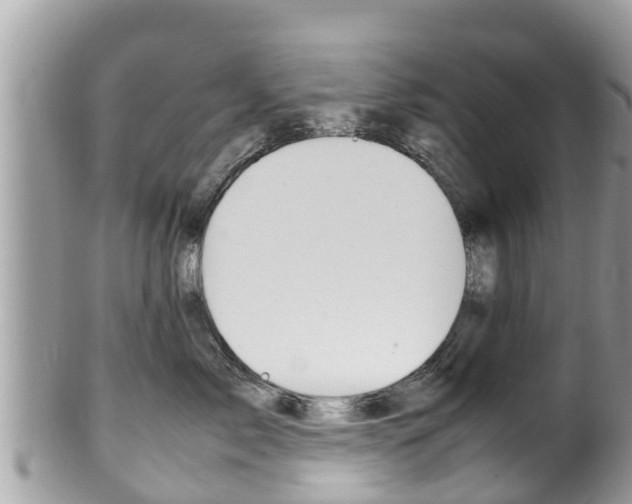 X0000100490717200806130755
