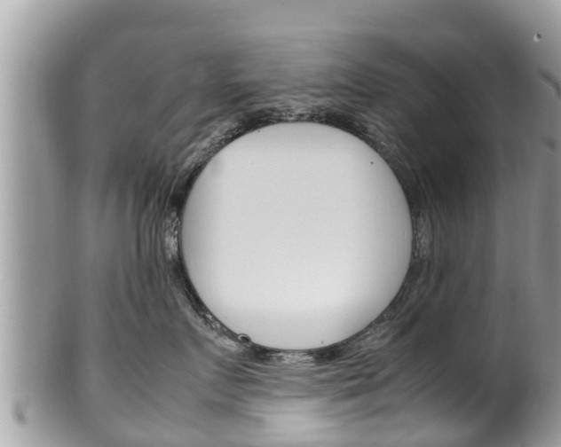 X0000100490719200806130755