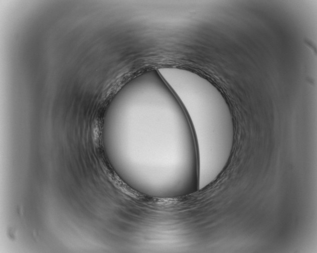 X0000100490720200806130755