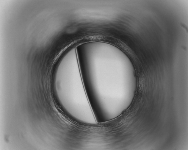 X0000100490722200806130754