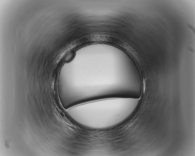 X0000100490723200806130755