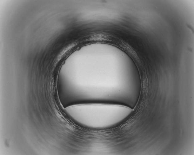 X0000100490724200806130755