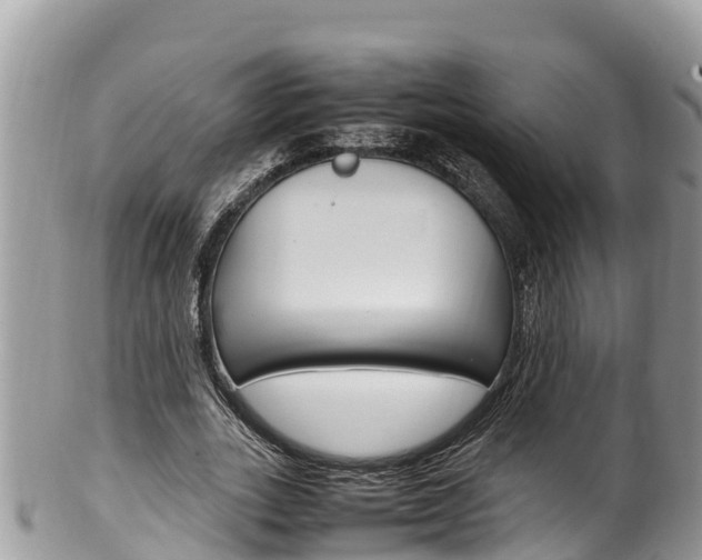 X0000100490727200806130755