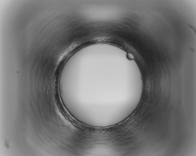 X0000100490730200806130755