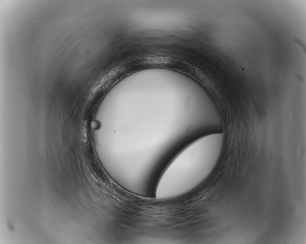 X0000100490731200806130755