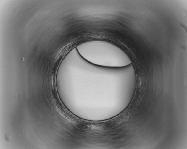 X0000100490733200806130755