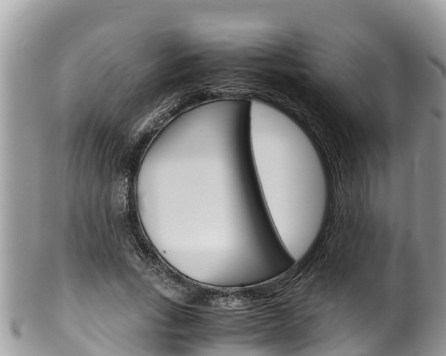 X0000100490735200806130755