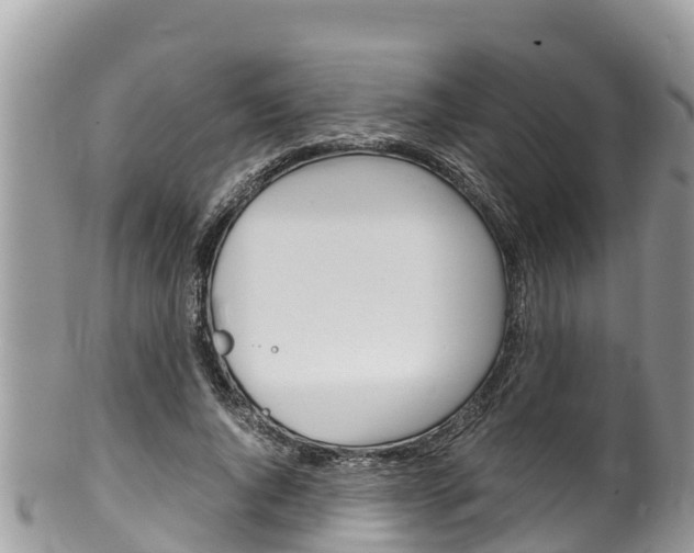 X0000100490736200806130755