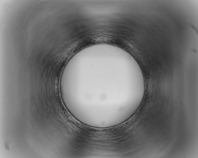 X0000100490737200806130755