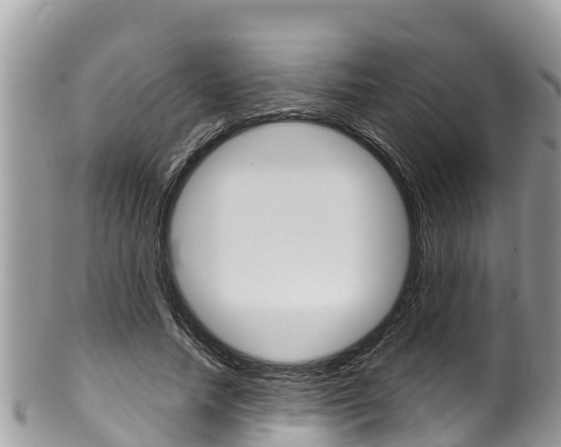 X0000100490738200806130755