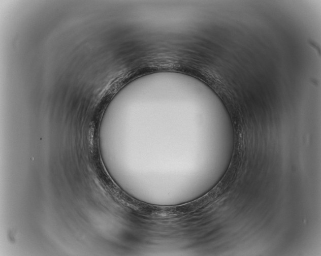 X0000100490739200806130755