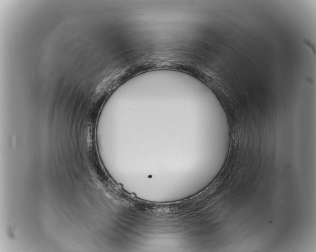 X0000100490740200806130755