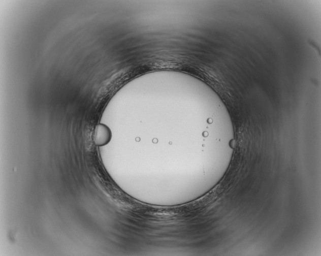 X0000100490741200806130755