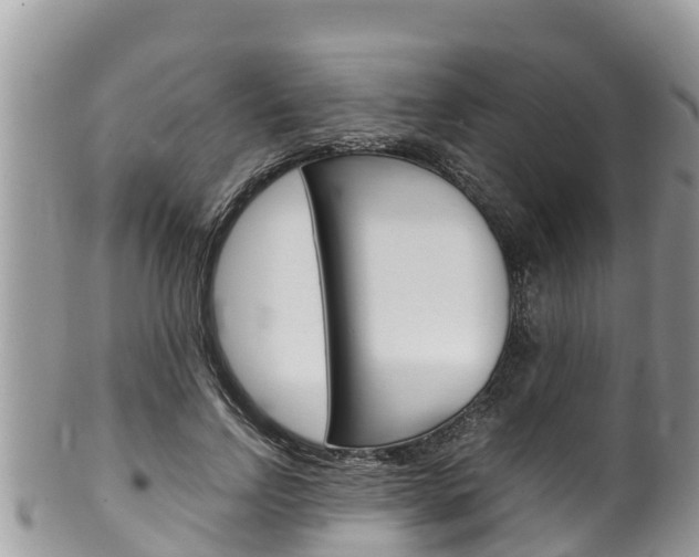 X0000100490742200806130755