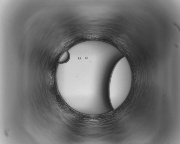X0000100490743200806130755