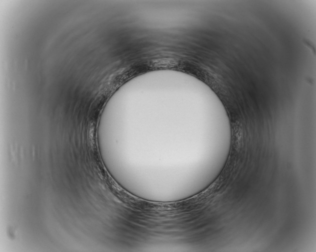 X0000100490745200806130755